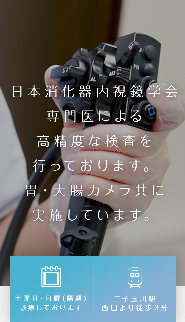 日本消化器内視鏡学会専門医による高精度な検査を行っております。胃・大腸カメラ共に実施しています。土曜日・日曜（隔週）診療しております　二子玉川駅　西口より徒歩3分